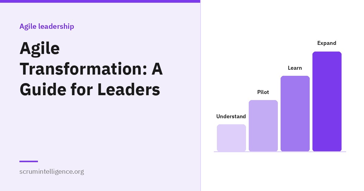 Agile Transformation: A Practical Guide for Leaders